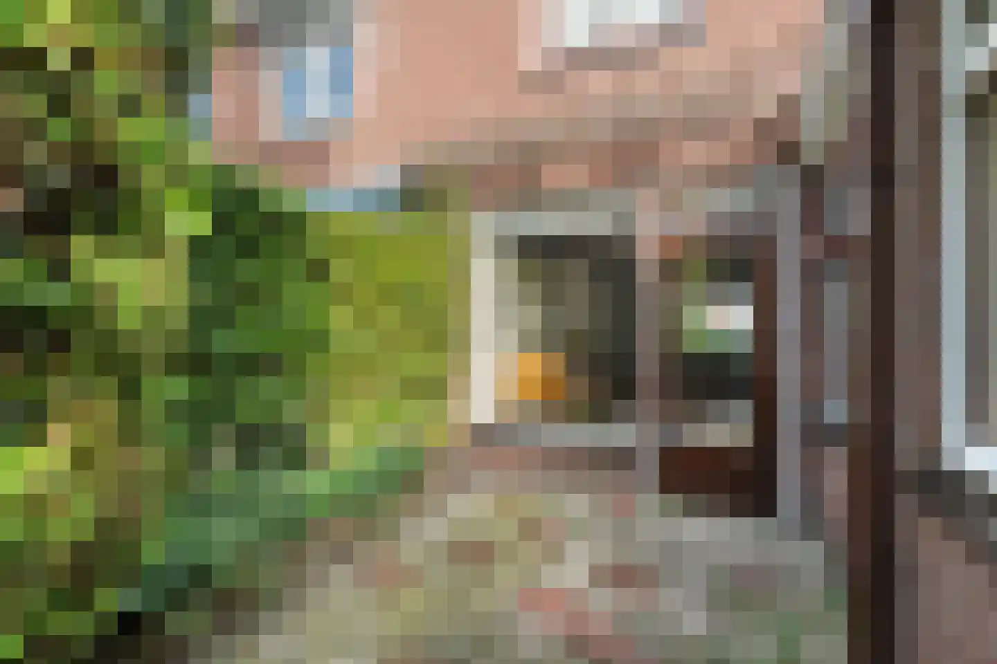 Violierstraat 40 Almelo thumbnail 40
