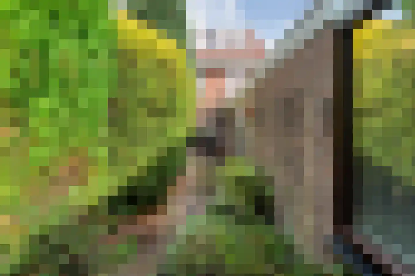 Violierstraat 40 Almelo thumbnail 41