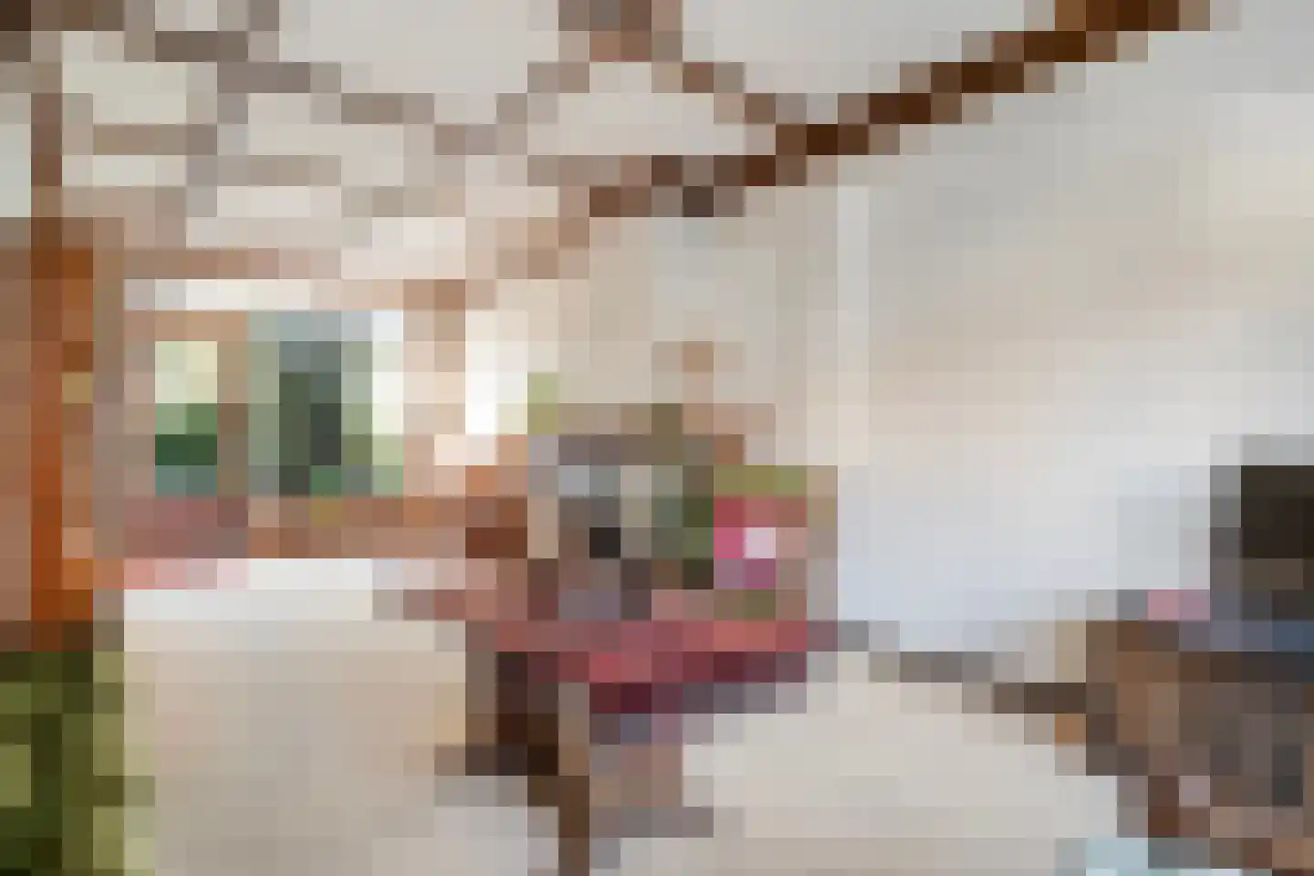 Violierstraat 40 Almelo thumbnail 6