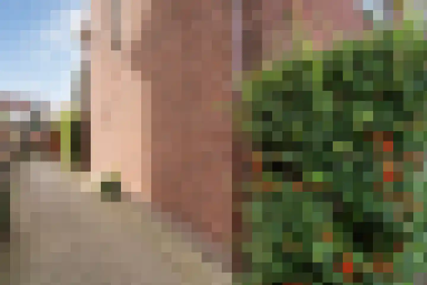 Violierstraat 40 Almelo thumbnail 63