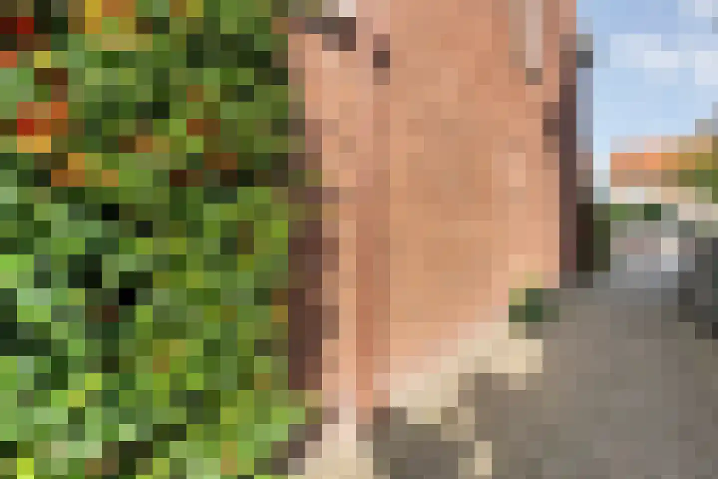 Violierstraat 40 Almelo thumbnail 64