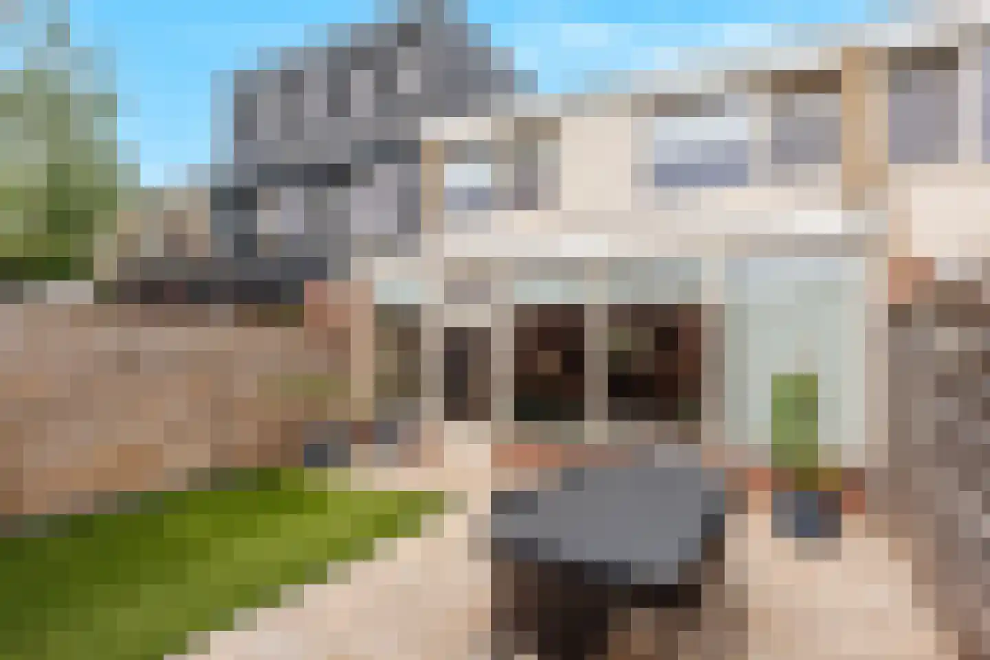 Violierstraat 42 Beuningen Gld thumbnail 28