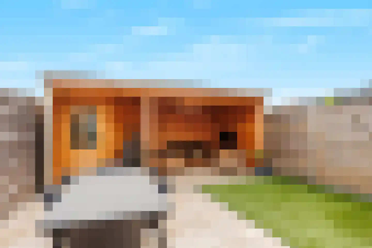 Violierstraat 42 Beuningen Gld thumbnail 29