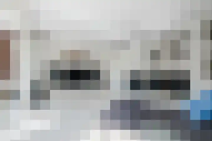 Violierstraat 42 Eindhoven thumbnail 11