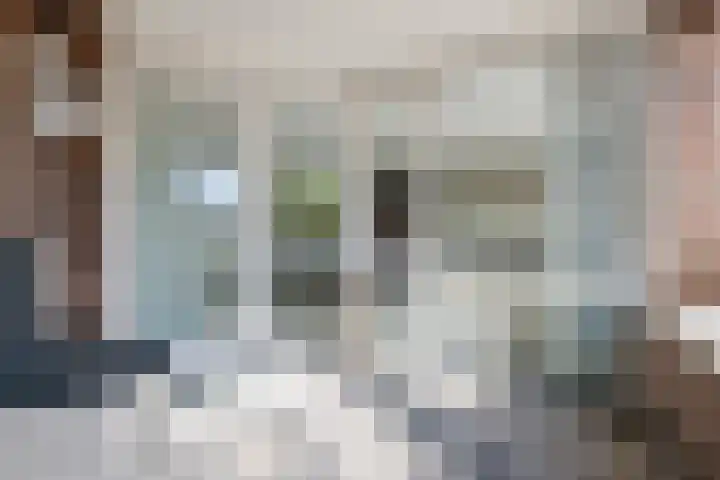 Violierstraat 42 Eindhoven thumbnail 29