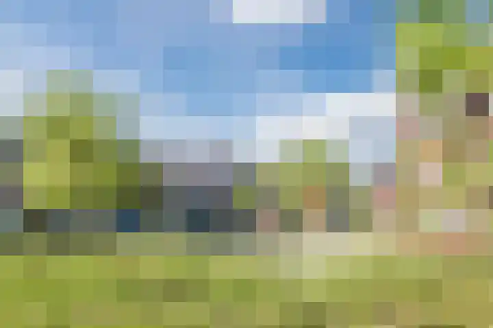 Violierstraat 42 Eindhoven thumbnail 32