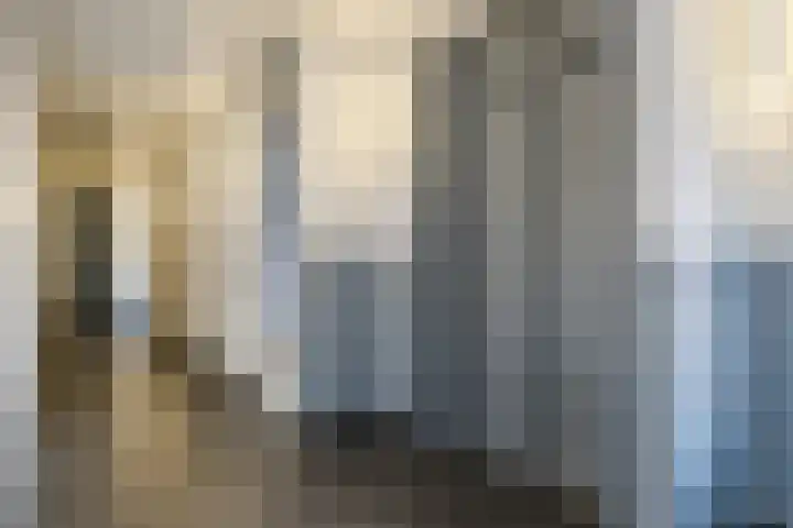 Violierstraat 42 Eindhoven thumbnail 5