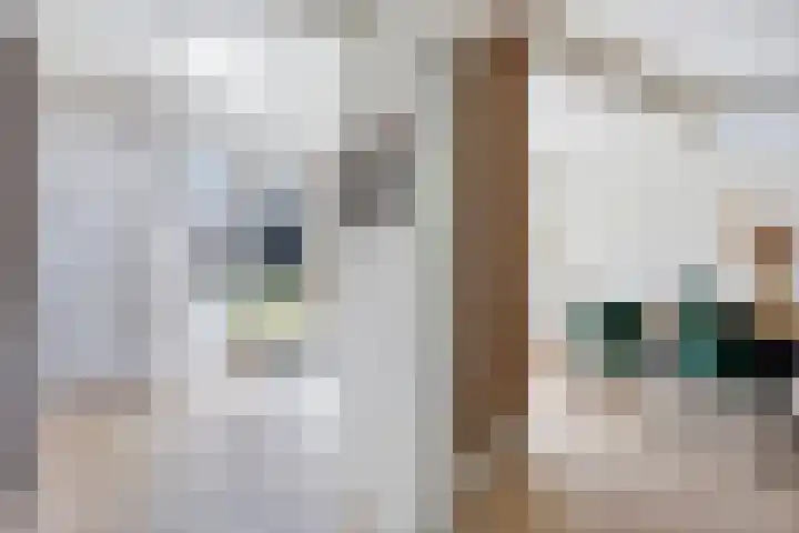 Violierstraat 47 Beuningen Gld thumbnail 26