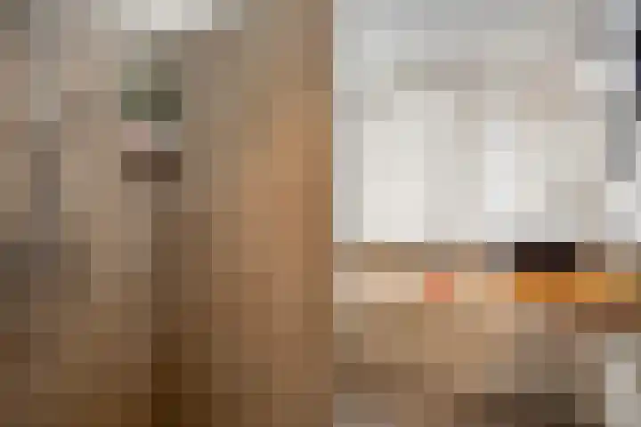 Violierstraat 47 Beuningen Gld thumbnail 37