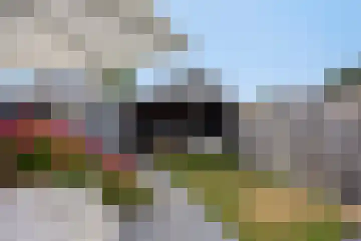 Violierstraat 47 Beuningen Gld thumbnail 43