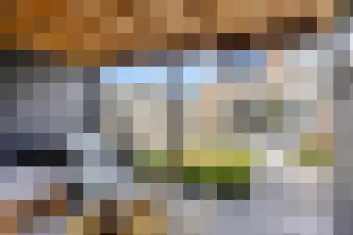 Violierstraat 47 Beuningen Gld thumbnail 47