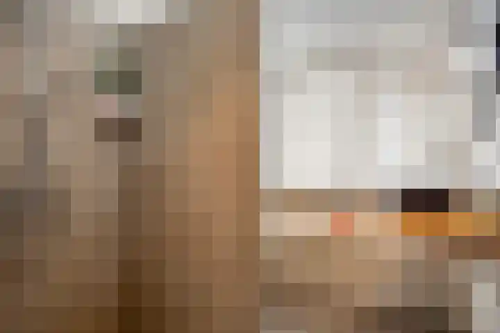 Violierstraat 47 Beuningen Gld thumbnail 5