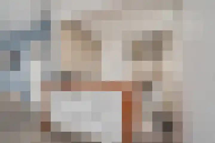Violierstraat 5 Capelle aan den IJssel thumbnail 10