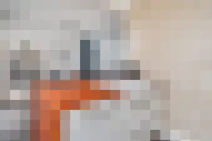 Violierstraat 5 Capelle aan den IJssel thumbnail 11