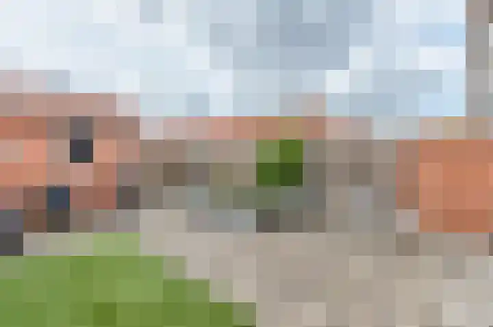 Violierstraat 5 Capelle aan den IJssel thumbnail 14