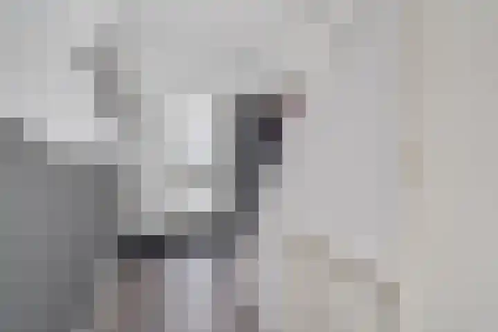 Violierstraat 5 Capelle aan den IJssel thumbnail 17