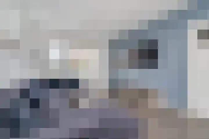 Violierstraat 5 Capelle aan den IJssel thumbnail 7