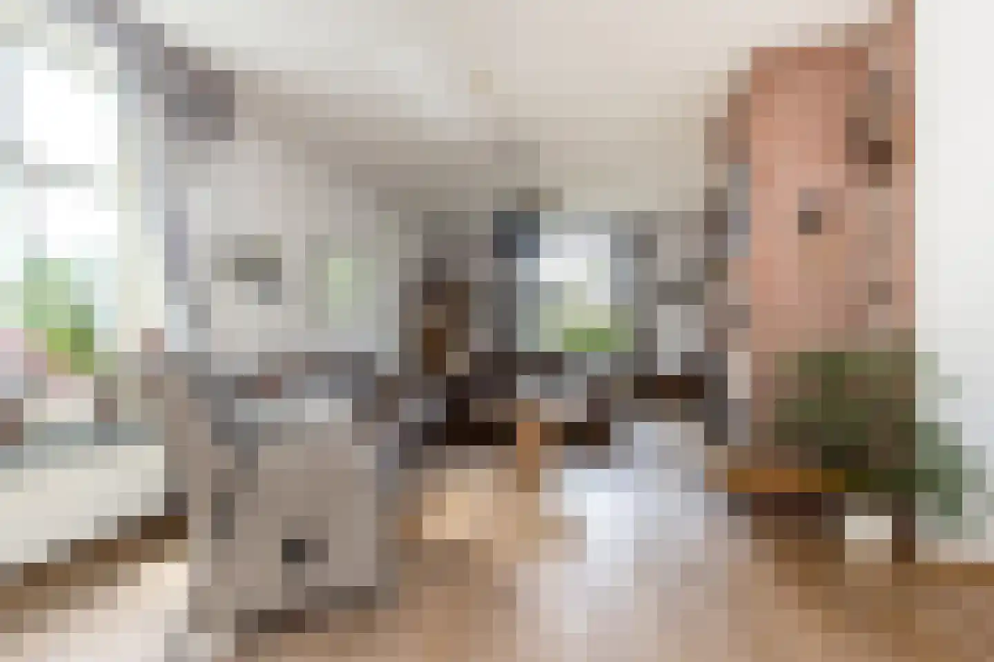 Violierstraat 5 Wijk en Aalburg thumbnail 10