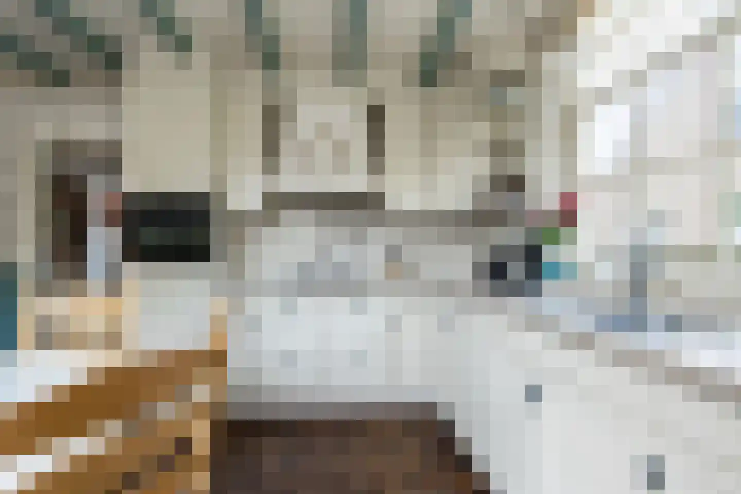 Violierstraat 5 Wijk en Aalburg thumbnail 13