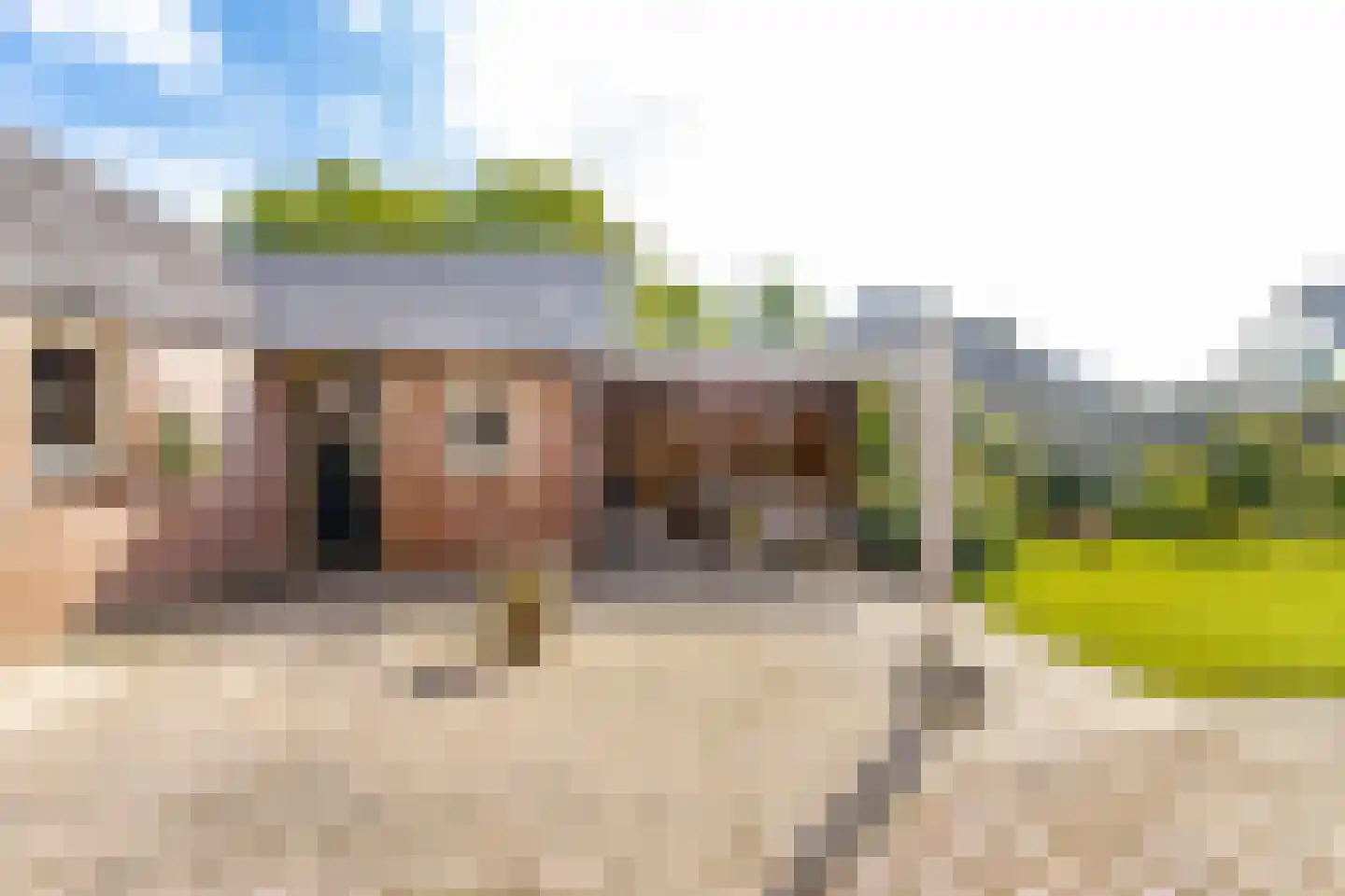 Violierstraat 5 Wijk en Aalburg thumbnail 30