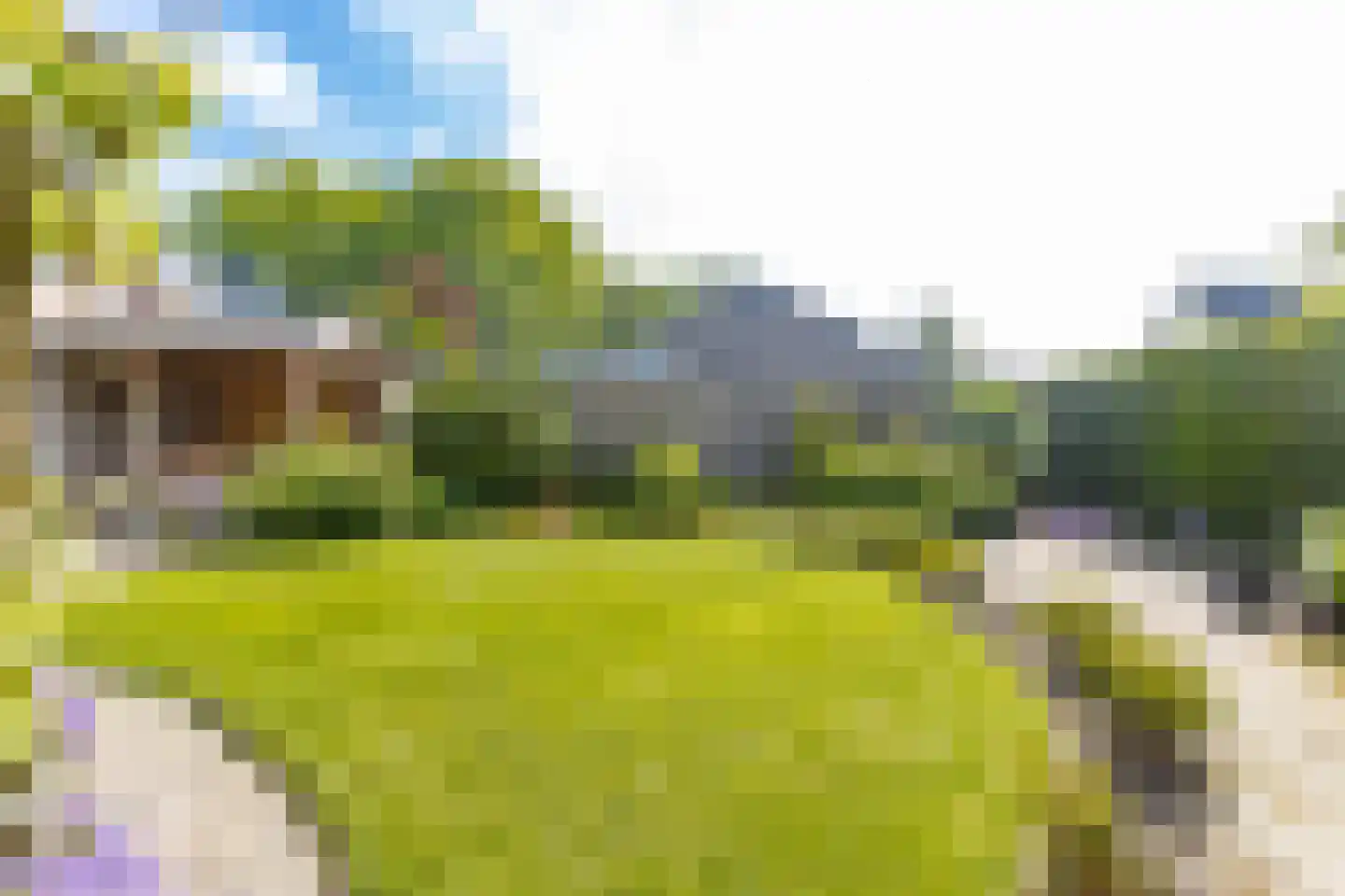 Violierstraat 5 Wijk en Aalburg thumbnail 32