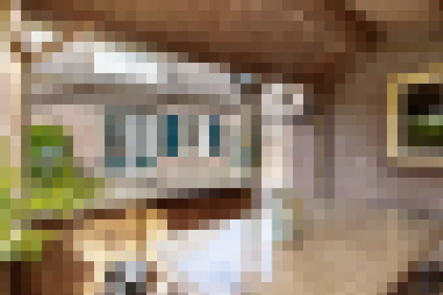 Violierstraat 5 Wijk en Aalburg thumbnail 33