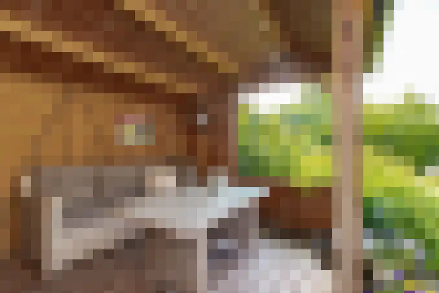 Violierstraat 5 Wijk en Aalburg thumbnail 34