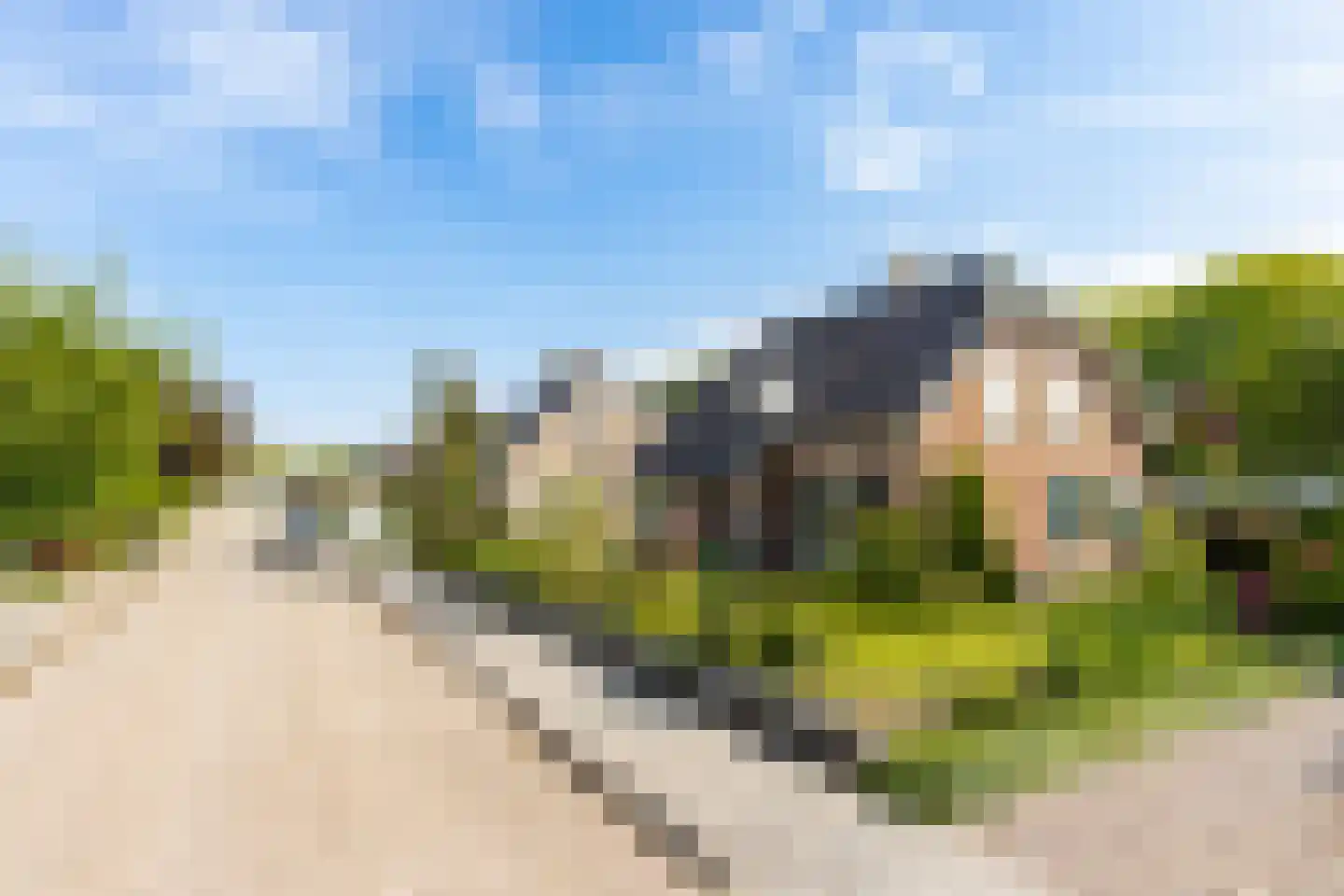 Violierstraat 5 Wijk en Aalburg thumbnail 36