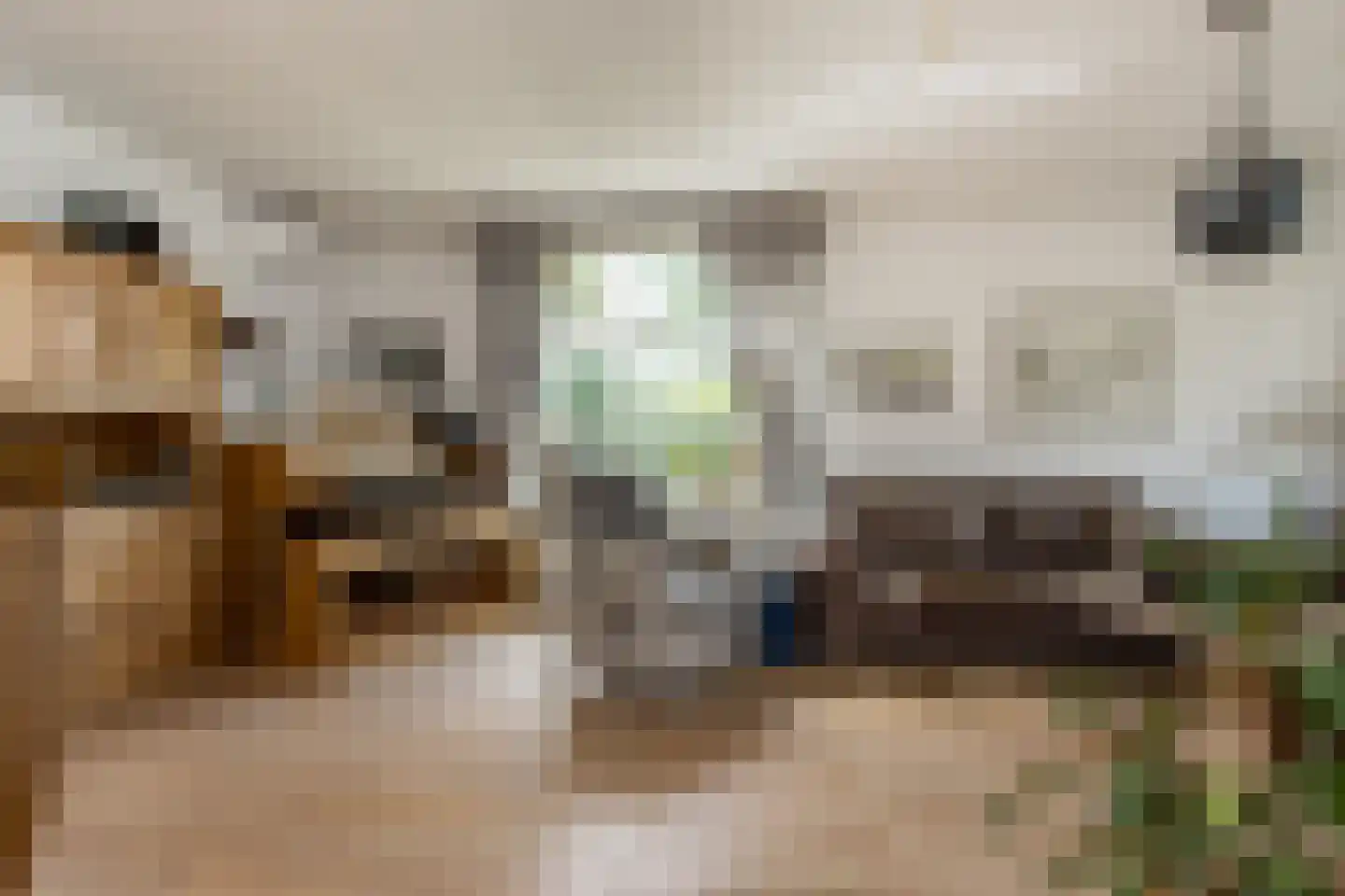 Violierstraat 5 Wijk en Aalburg thumbnail 9