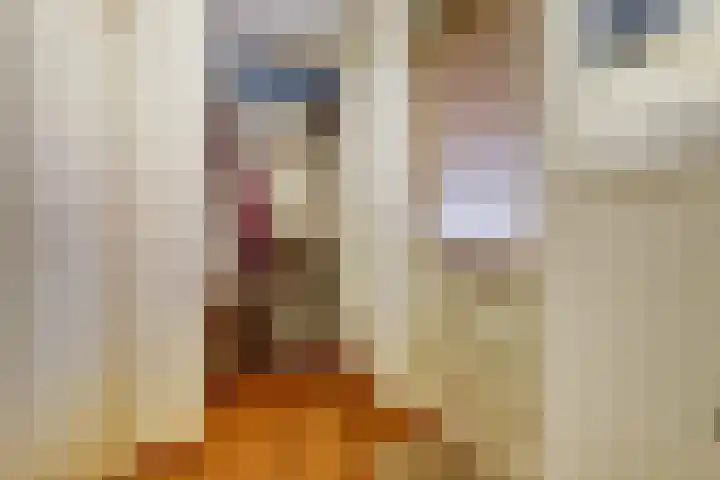 Violierstraat 6 Venlo thumbnail 10