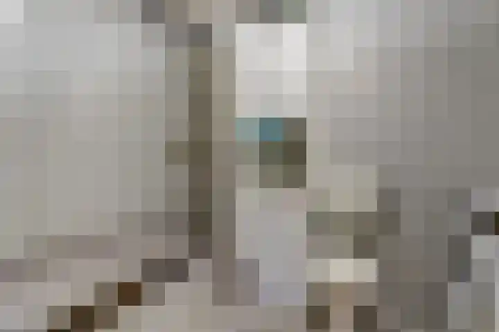 Violierstraat 6 Venlo thumbnail 16