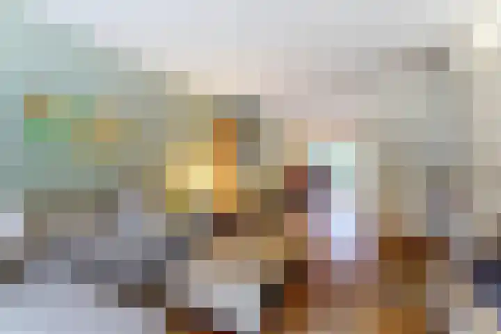 Violierstraat 6 Venlo thumbnail 4