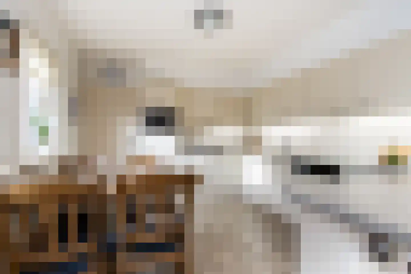 Violierstraat 6 Wijk en Aalburg thumbnail 14