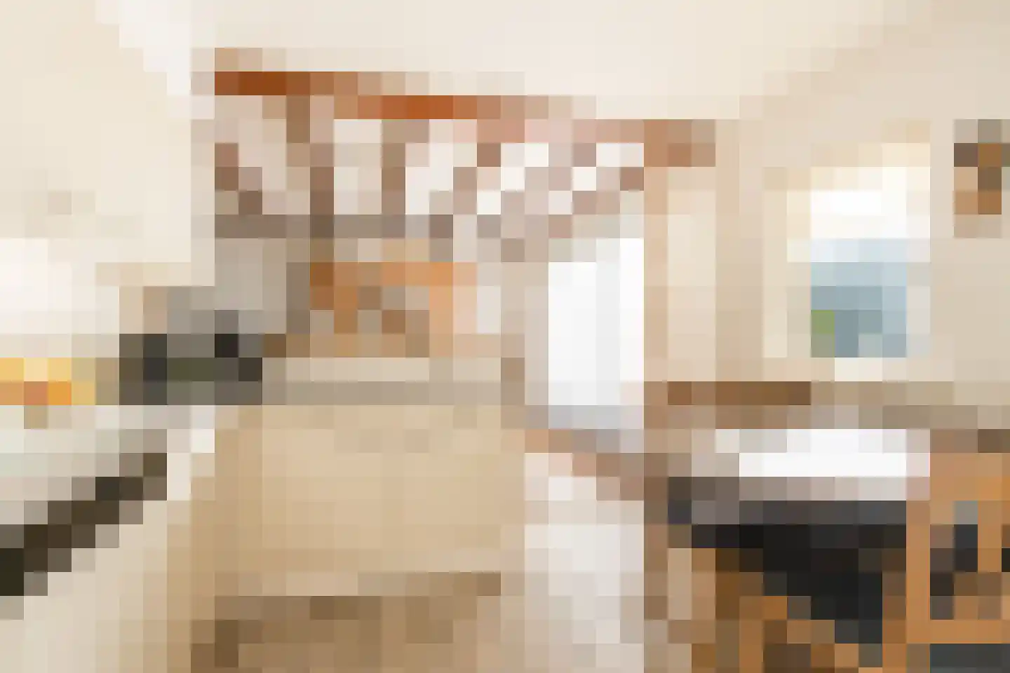 Violierstraat 6 Wijk en Aalburg thumbnail 16