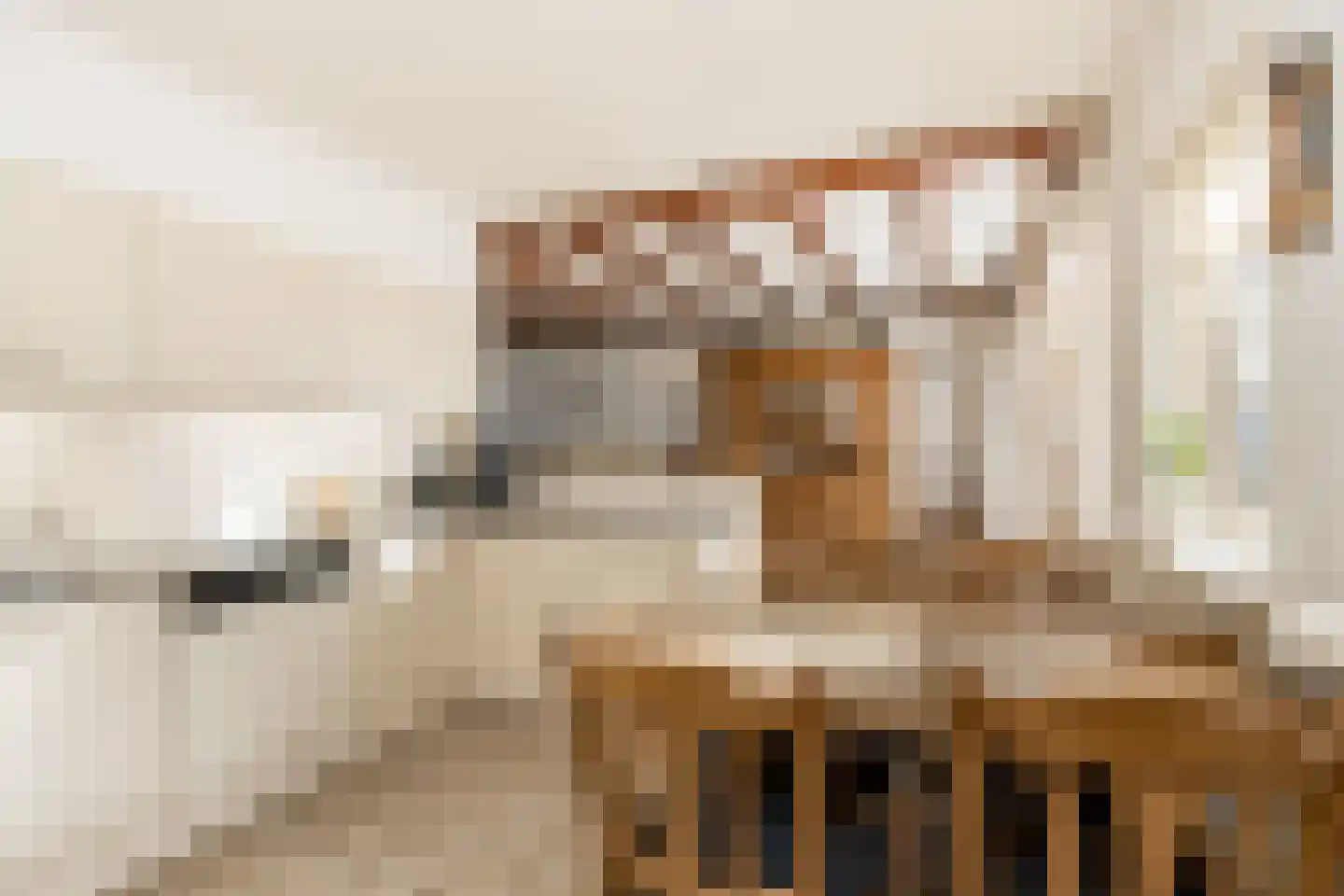 Violierstraat 6 Wijk en Aalburg thumbnail 17