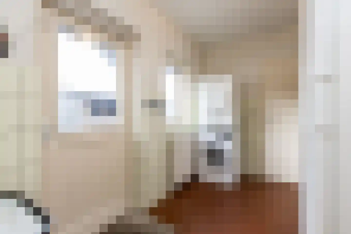 Violierstraat 6 Wijk en Aalburg thumbnail 18