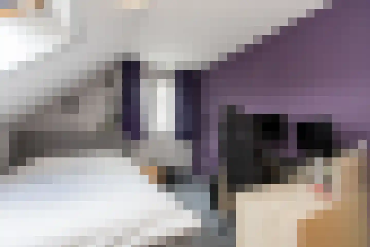 Violierstraat 6 Wijk en Aalburg thumbnail 30