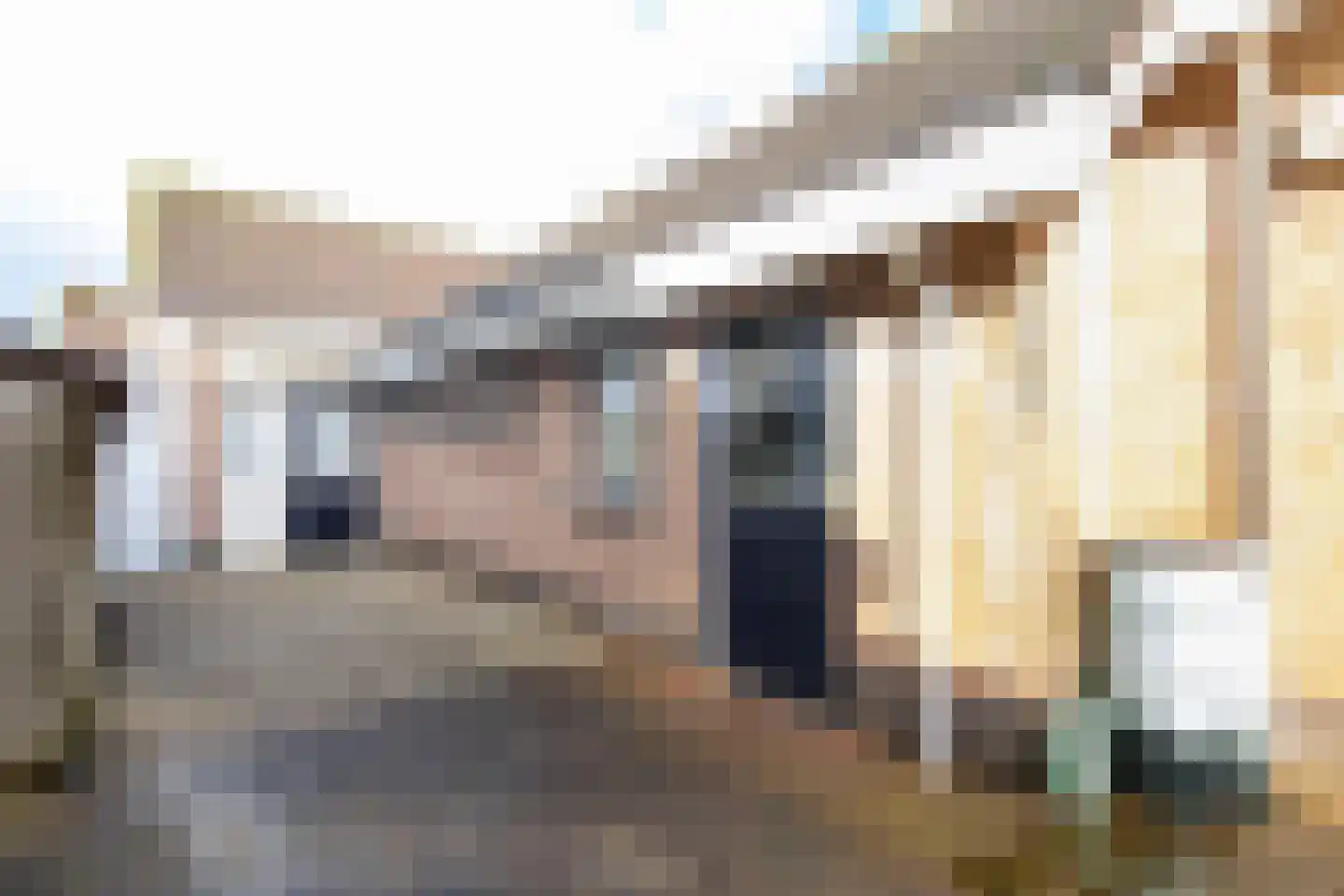 Violierstraat 6 Wijk en Aalburg thumbnail 49