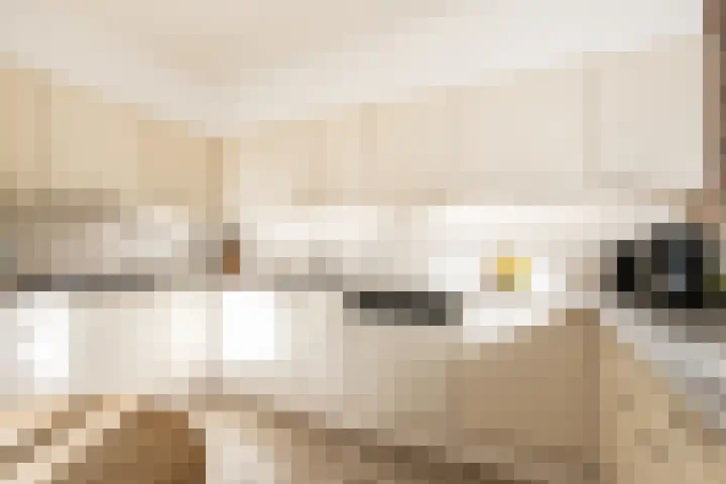 Violierstraat 6 Wijk en Aalburg thumbnail 5