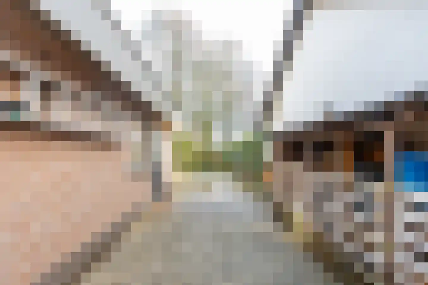 Violierstraat 6 Wijk en Aalburg thumbnail 51