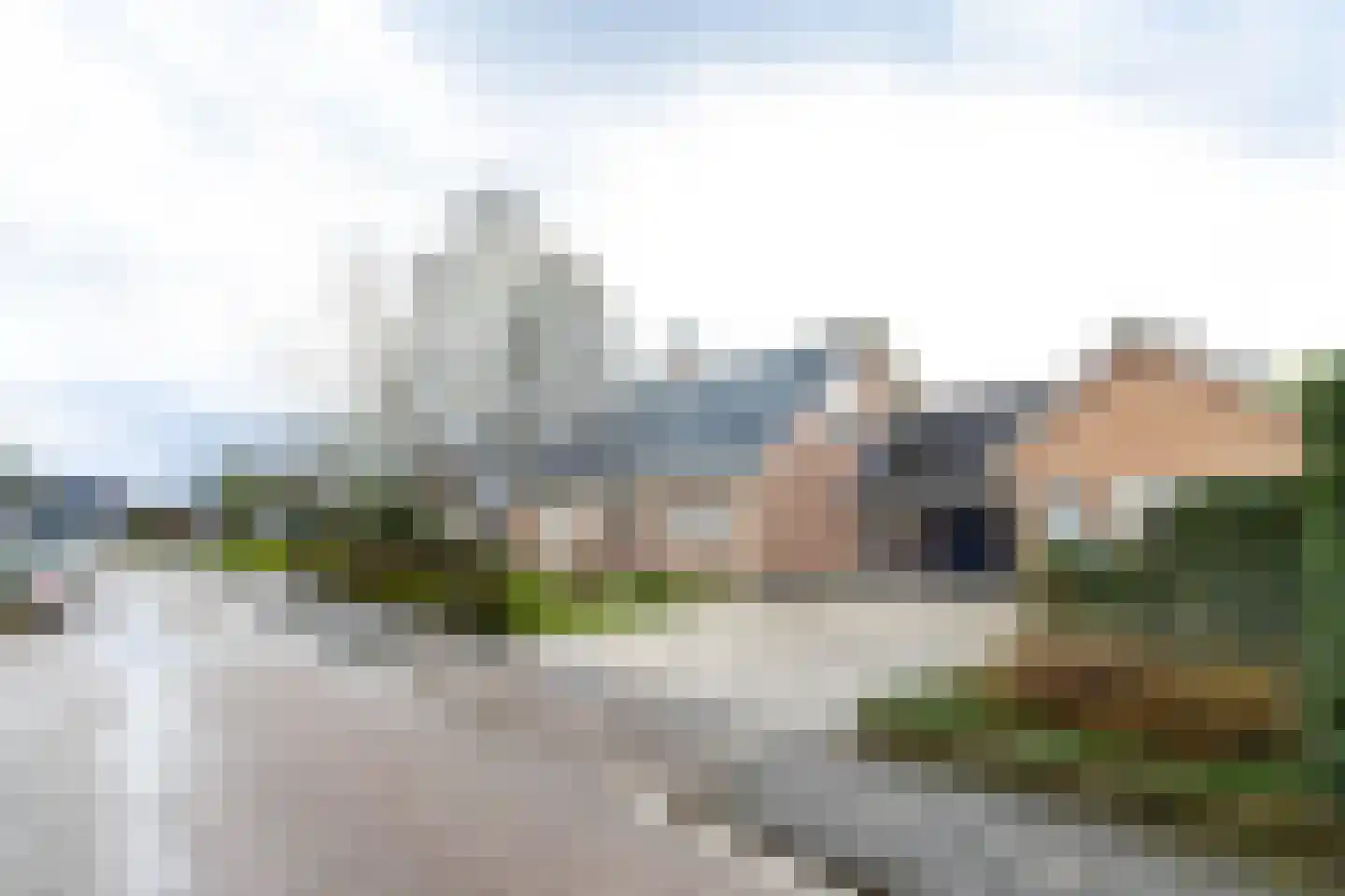 Violierstraat 6 Wijk en Aalburg thumbnail 53
