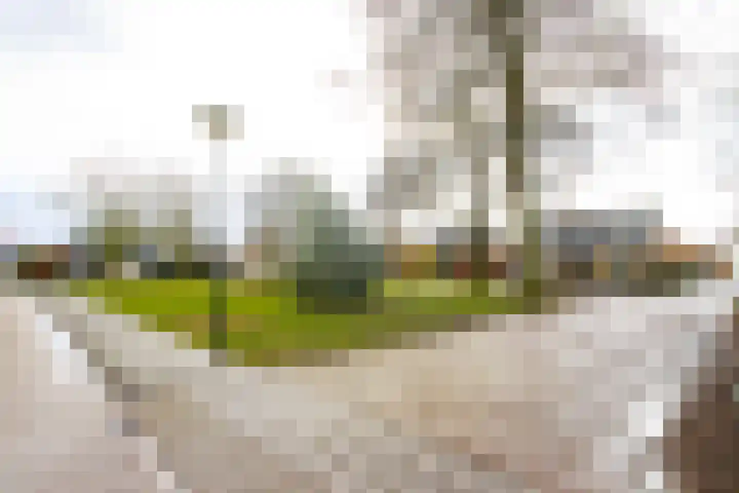 Violierstraat 6 Wijk en Aalburg thumbnail 56