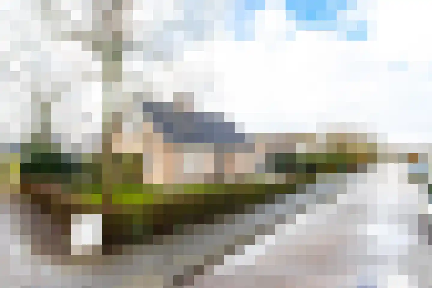 Violierstraat 6 Wijk en Aalburg thumbnail 58
