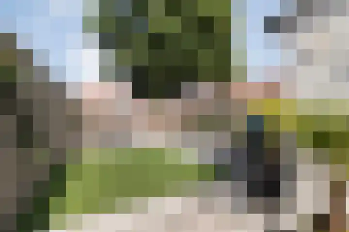 Violierstraat 73 Almelo thumbnail 25