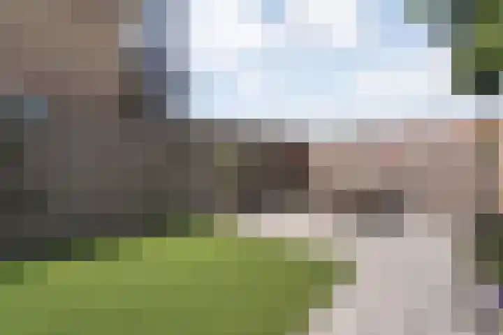 Violierstraat 73 Almelo thumbnail 26