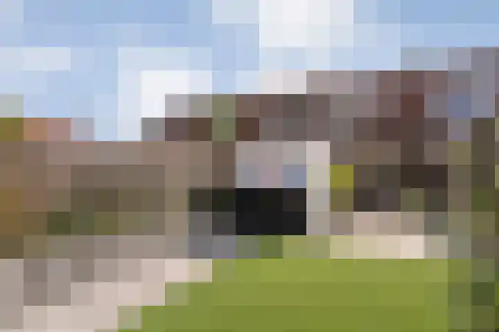 Violierstraat 73 Almelo thumbnail 28