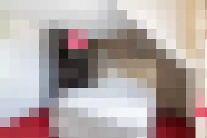 Violierstraat 86 Almelo thumbnail 12
