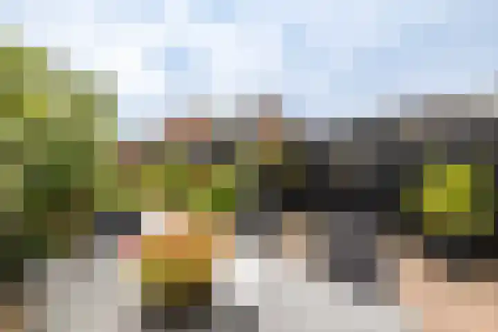 Violierstraat 86 Almelo thumbnail 20