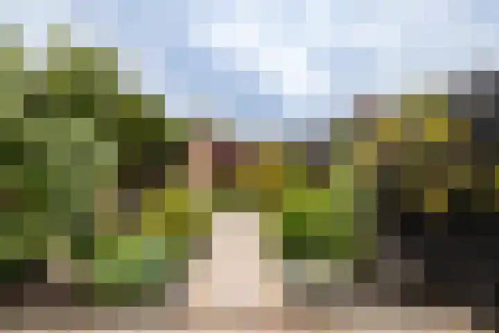 Violierstraat 86 Almelo thumbnail 21
