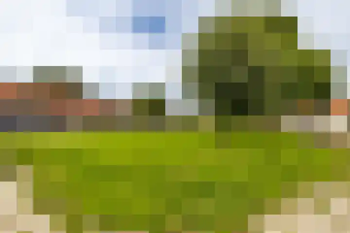Violierstraat 86 Almelo thumbnail 29